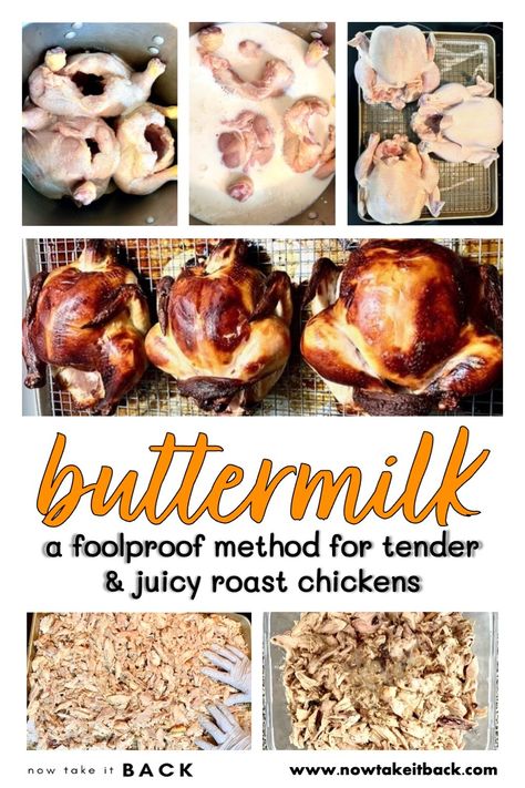 buttermilk roast chickens recipe easy tender juicy flavorful mineral salt milk white vinegar bulk cooking holiday dinner party health foolproof forgiving crispy skin kid-friendly bone broth salads sandwiches freezer Buttermilk Whole Chicken, Chicken In Buttermilk, Whole Chickens, Chicken Store, Roast Chicken Dinner, Mineral Salt, Roast Chicken Recipes, Take It Back, Stuffed Whole Chicken