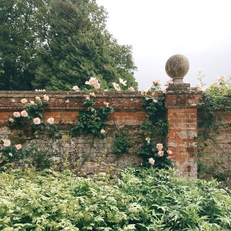 Secret Garden Aesthetic, Walled Gardens, Garden Aesthetic, John Muir, English Countryside, Nassau, English Garden, Pretty Places, Dream Garden