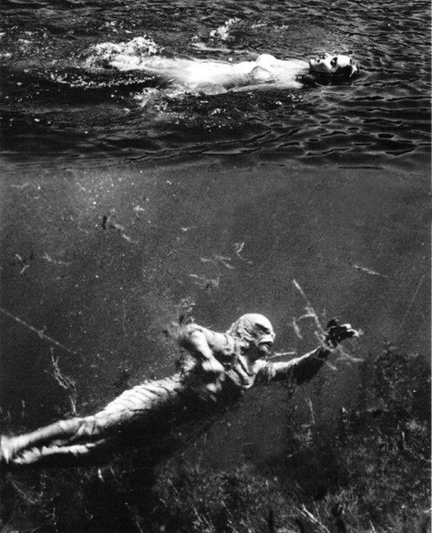 Creature from the Black Lagoon (1954) Francois Truffaut, Creature From The Black Lagoon, The Black Lagoon, Horror Vintage, Septième Art, The Boogeyman, Classic Sci Fi, Famous Monsters, Horror Monsters