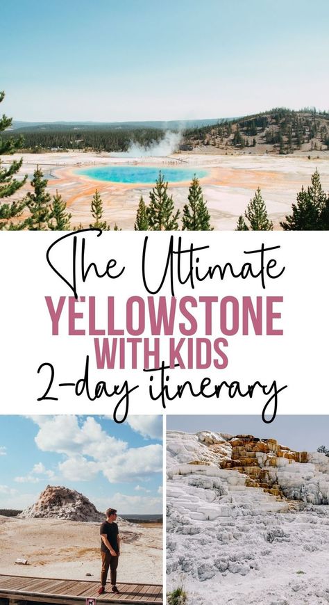 Looking to visit Yellowstone on a family vacation? It is one of the most magical national park experiences you can have with kids! Here is the ultimate Yellowstone with kids 2-day itinerary. Includes highlights of the lower loop including geysers, springs a short hike and more! | Yellowstone National Park | Yellowstone National park with kids | Yellowstone with toddlers | things to do in Yellowstone with kids | things to do in yellowtone national park with kids | Yellowstone With Kids, Yellowstone Vacation Planning, Things To Do In Yellowstone, Yellowstone National Park Vacation, Yellowstone Vacation, A Short Hike, Yellowstone Trip, Visit Yellowstone, West Yellowstone