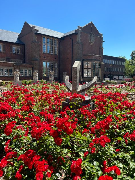 University Of Southampton Aesthetic, Southampton University Aesthetic, Southampton Aesthetic, Flowers Red Aesthetic, Southampton University, Psych Student, University Aesthetic, University Of Southampton, South Hampton