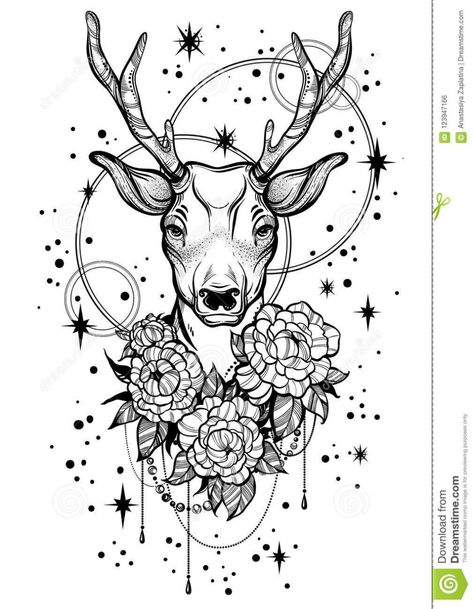 Animal Photography Dogs, Stag Tattoo, Stars Tattoo, Flowers Peony, Stars Art, Deer Tattoo, Animal Stencil, Animal Print Outfits, Peony Flowers