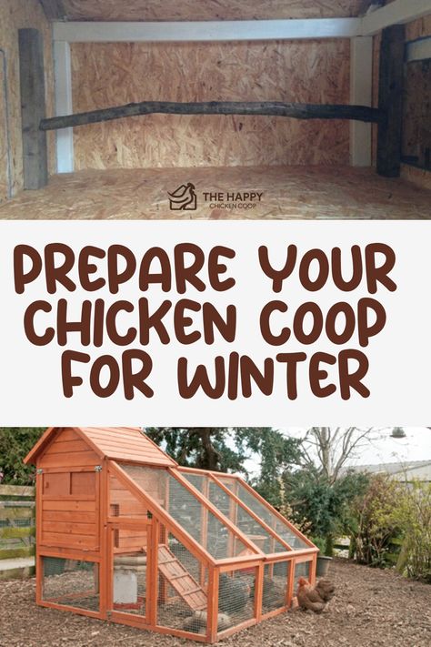 Discover essential tips for preparing your chickens' run for the winter season in this detailed guide. Learn why it's important to avoid letting your chickens free range during the colder months to ensure their safety and well-being. Explore practical strategies to create a cozy and secure environment for your feathered friends this winter! Winterize Chicken Coop, Chicken Coop For Winter, Chicken Coop Winter, Chickens In The Winter, Small Chicken Coops, Chicken Care, Chicken Coop Run, Chicken Health, Chicken Run