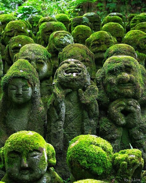 EARTH OFFICIAL on Instagram: “The coolest temple in Kyoto 💚 1200 stone sculptures of rakan, Buddha’s disciples, all with different facial expressions and poses: cute,…” Moss Sculpture, Temple Aesthetic, Moss Covered, Japan Photo, Buddhist Temple, Sacred Places, Stone Sculpture, Kyoto Japan, Glamping