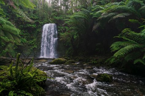 (2022) Top 5 Landscape Photography Locations in Victoria, Australia — Mitch Green Photos | Landscape Photography Landscape Images Horizontal, Environment Landscape Photography, Forest Landscape Photography Horizontal, Landscape Photography Nature Horizontal, Landscape Photography Horizontal, Australian Nature, Visual Essay, Photos Landscape, Environment Photography