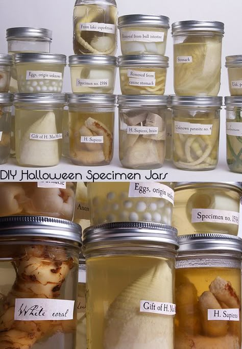 DIY Halloween Specimen jars - with food you can actually eat Fake Specimen Jars, Halloween Specimen Jars Diy, Specimen Jars Halloween, Halloween Apothecary Jars Fillers, Creepy Jars For Halloween, Specimine Jars Halloween, Diy Halloween Apothecary, Fake Organs Halloween Diy, Scary Hospital Halloween Decorations