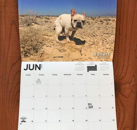 Pooping Dogs Calendar 2019 White Elephant Party, Dog Calendar, Calendar 2019, We Shed, Dogs Pooping, Ride On Toys, Good Cause, White Elephant, Gag Gifts