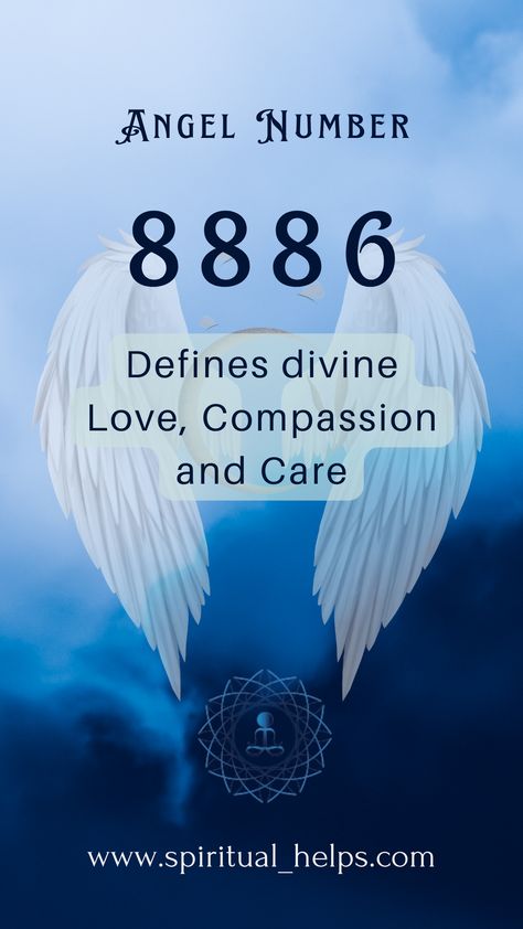 The angel number 8886 is a powerful and caring guide. When this angel number connects with you, your life will take a beautiful turn.

This angel number is the guide that shows you have important it is to live your life. It’s show you that no matter how much you can rely on others but still at the end of the day, you are on your own. So instead of taking yourself for granted, go for adventure, experience new places, etc. Take You For Granted, Angel Number, Angel Numbers, The Angel, Live Your Life, Do Something, Something To Do, The End, Meant To Be