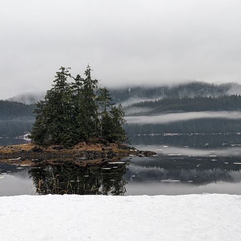 Southeast Alaska - Thorne Bay by Mandy Ritenour Alaska Images, Southeast Alaska, Book Vibes, Bay Photo, Email Marketing Newsletter, Display Advertising, Retail Merchandising, Website Backgrounds, Print Advertising