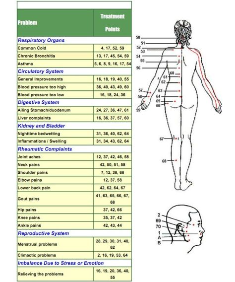 Marma Points Chart, Cupping Points Chart, Dry Cupping Therapy Chart, Cupping Therapy Chart, Cupping Points, Acupressure Points Chart, Reflexology Pressure Points, Acupuncture Charts, Acupuncture Points Chart