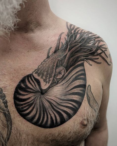 Finished the shading on this Nautilus tattoo for my friend Dan 🐌🦑 . . . . . . . . . . . #blackwork #blackandgreytattoo #blackworkers #nature… Nautilus Tattoo, Chest Tattoo Ideas, Chest Hair, Vegan Tattoo, Cat Art Illustration, For My Friend, Tattoos Ideas, Chest Tattoo, Tattoo Inspo