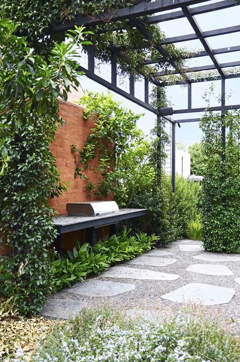 Terrace Cover, Trachelospermum Jasminoides, Cover Patio, Courtyard Gardens Design, Meteor Garden 2018, Garden Types, Patio Roof, Garden Architecture, Patio Interior