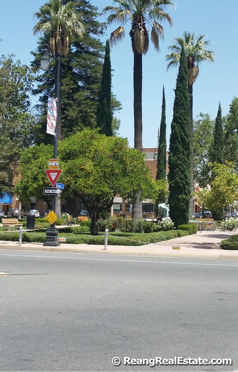 Old Towne | Orange, California Orange California, Ca History, The Oc, Orange County, West Coast, Old Town, Cali, The Neighbourhood, Things To Do