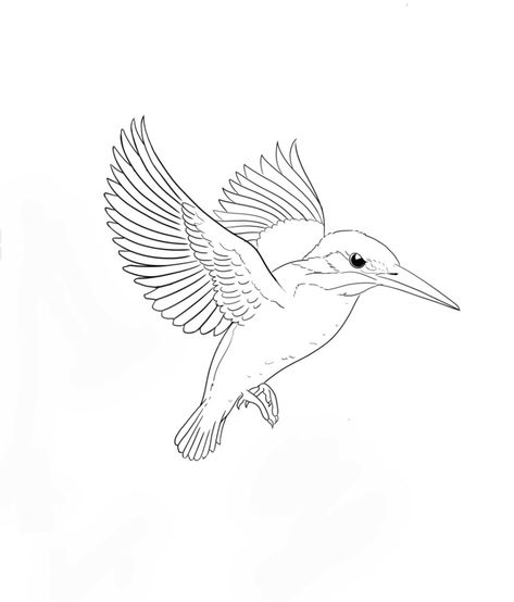 Kingfisher bird King Fisher Tattoo Ideas, Kingfisher Tattoo Design, Kingfisher Tattoo Black And White, Kingfisher Bird Tattoo, King Fisher Tattoo, Kingfisher Sketch, Kingfisher Bird Drawing, Kingfisher Drawing, Laucala Island