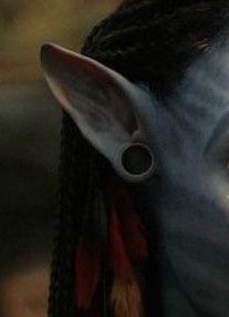 Neytiri's Ear Reamer From Avatar 2009 Avatar 2009, Avatar, Forest, Quick Saves