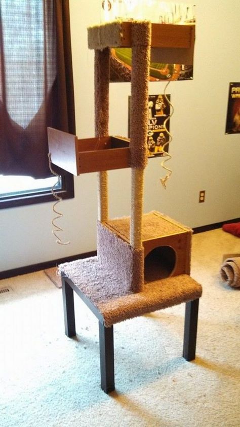 Build a unique and inexpensive cat tree using old drawers - DIY projects for everyone! Cat Tree Homemade, Diy Cat Tree Homemade, Cat Trees Homemade, Drawers Diy, Diy Cat Tower, Drawers Repurposed, Cat Tree House, Diy Cat Tree, Cat House Diy