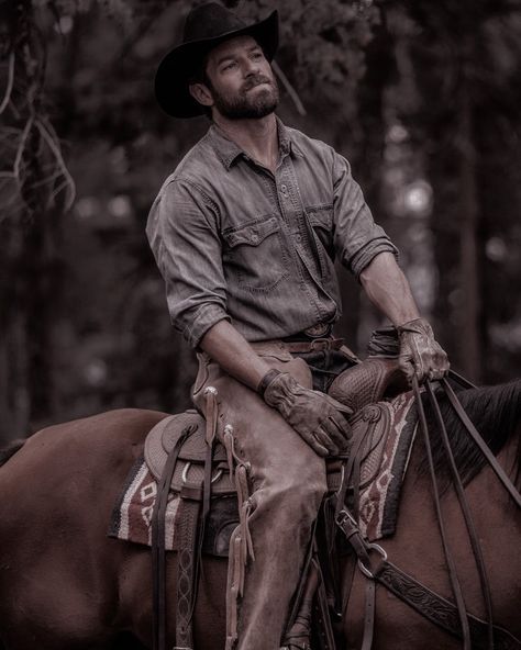 A Horse, Books Wattpad, Cowboy, Romance, Wattpad, Books