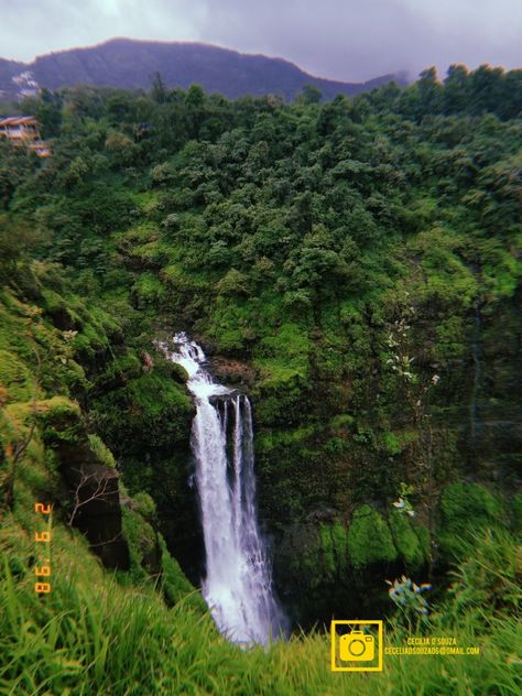 I fell in love with the falls. Instagram: @alluring_masterpieces1600 Selfoss Waterfall, Mardalsfossen Waterfall, Gljúfrabúi Waterfall, Skogafoss Waterfall, Niagara Falls Marriott Fallsview Hotel & Spa, Water Fall, Fell In Love, I Fall, I Fall In Love