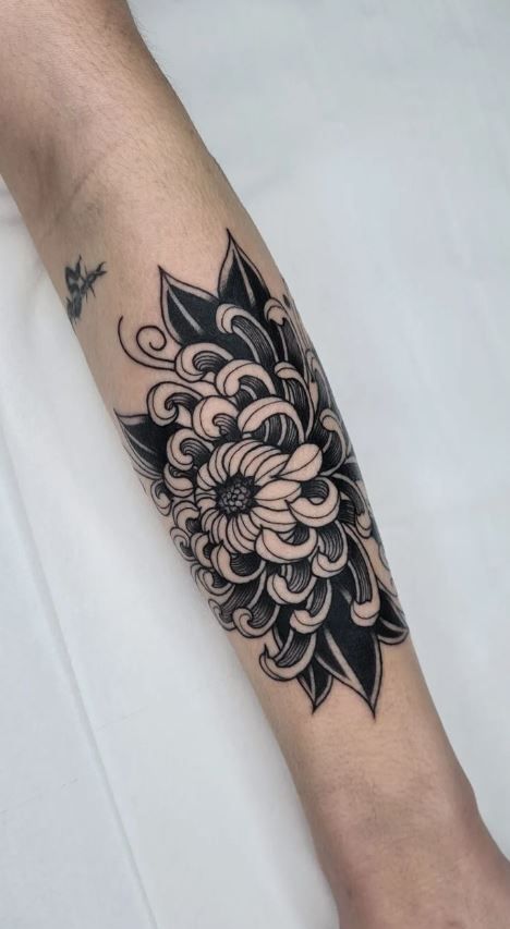 American Traditional Chrysanthemum, Chrysanthemum Shoulder Tattoo, Traditional Chrysanthemum Tattoo, Black Chrysanthemum Tattoo, Flower Traditional Tattoo, Chrysanthemum Tattoos, Chrysanthemum Flower Tattoo, Lisa Tattoo, Trad Tattoos