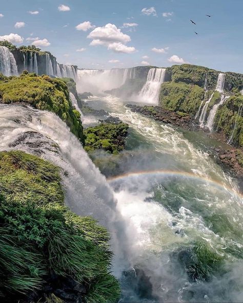 Amazon River Cruise, Iguazu National Park, Iguazu Falls, Eco Travel, Brazil Travel, Argentina Travel, Natural Pool, National Parks Trip, Landscape Scenery