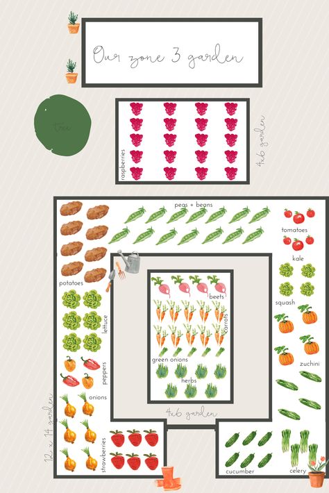 Our Zone 3 Vegetable Garden Veggie Garden Layout, Vegetable Garden Beds, Garden Bed Layout, Raised Vegetable Gardens, Vegetable Garden Raised Beds, Garden Layout Vegetable, Small Vegetable Gardens, نباتات منزلية, Vegetable Garden Planning