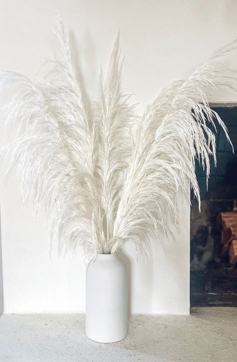 Cny 2024, White Pampas, Color Representation, Grass Wedding, Decorations Wedding, Dried Flower Arrangements, Vase Set, Pampas Grass, Dried Flower