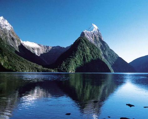 Fiordland National Park | national park, New Zealand | Britannica Fiordland National Park, New Zealand Travel Guide, New Zealand South Island, New Zealand Travel, To Infinity And Beyond, South Island, Pretty Places, Oh The Places Youll Go, World Heritage Sites