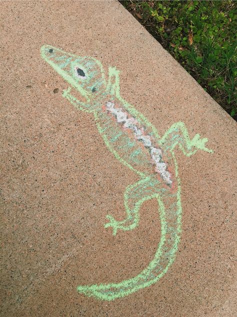 Chalk Animals Easy, Chalk Art Animals, Lizard Cute, Fun Chalk Art, Chalk Ideas, Easy Animal Drawings, Sidewalk Art, Chalkboard Ideas, Chalk Drawings