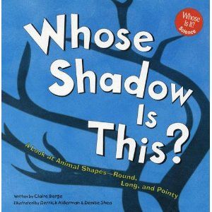 Kindergarten & Preschool for Parents & Teachers: What's that Shadow? Activities & Books Shadow Lessons Preschool, Light Theme Preschool, Flashlight Activities For Kids, Shadows Preschool Activities, Preschool Light Study, Creative Curriculum Light Study, Flashlight Activities, Shadow Science Activities, Shadow Lessons