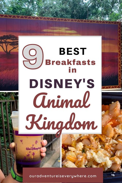 Animal Kingdom Restaurants, Animal Kingdom Food, Food For Breakfast, Best Disney Restaurants, Disney Animal Kingdom, Breakfast Places, Disney 2024, Disney World Restaurants, Disney Snacks