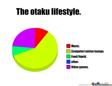 Otaku Problems, Otaku Issues, Anime Lover, Anime Memes Funny, Anime Meme, I Love Anime, Anime Life, Anime Quotes, All Anime