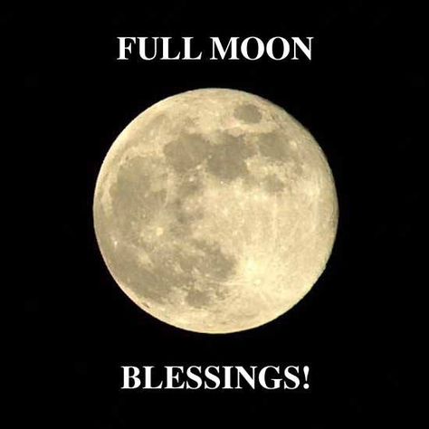 Happy Full Moon Quotes, Full Moon Blessings Witches, Psychic Readings Questions, Full Moon Invocation, Pregnancy Spells, Happy Full Moon, Tonight’s Full Moon, Vintage Tarot Cards, Psychic Readings Free