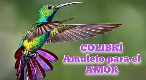 Colibri Amuleto para el AMOR - Amuletos y Talismanes Mother Painting, Spanish Quotes, Pet Birds, Garden Decor, Birds, The World, Music, Animals