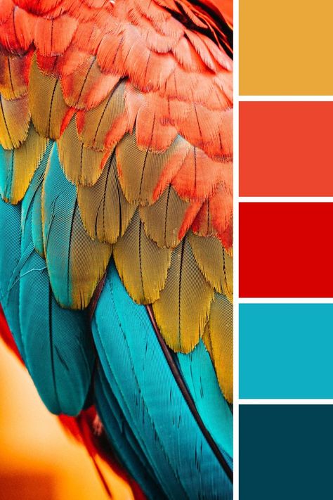 Turquoise Red Blue Color Palette, Turquoise Red Color Palette, Pacific Color Palette, Blue Red Gold Color Palette, Red And Turquoise Color Palette, Red Blue Teal Color Palette, Blue Red Color Scheme, Red Complementary Colors, Red Orange And Blue Color Palette