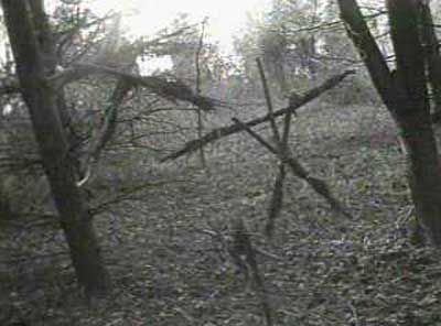 The Blair Witch Project Possession Movie, August Underground, The Blair Witch Project, Witch Symbols, Witch Party, Blair Witch Project, Blair Witch, Haunted Forest, Last Ride