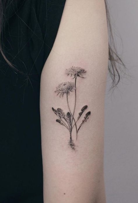 Black And White Dandelion Tattoo, Flowers With Roots Tattoo, Dandelion Bouquet Tattoo, Korean Art Tattoo, Black And Grey Flower Tattoo, Dandelion Flower Tattoo, Grey Ink Tattoo, Justice Tattoo, Tiny Bird Tattoos