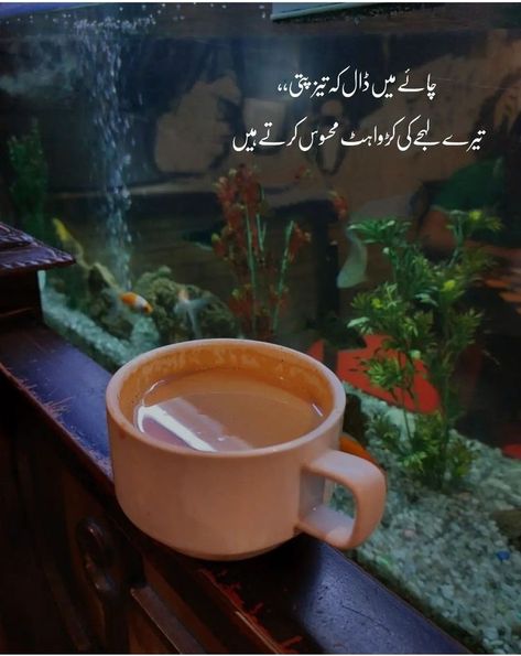 Chai Poetry, Sweet Good Morning Images, Tea Lover Quotes, Chai Quotes, Romantic Poetry Quotes, Cold Coffee Recipes, Aesthetic Captions, Words That Describe Feelings