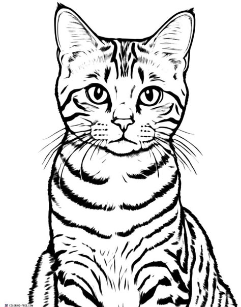 Cat Art Print Free Printable, Cat Outline Drawing Free Printable, Kitty Cat Coloring Pages Free Printable, Cat Etching, Cat Pictures To Color, Cat Coloring Pages Free Printable, Stencil Animals, Cat Line Drawing, Cats Coloring Pages