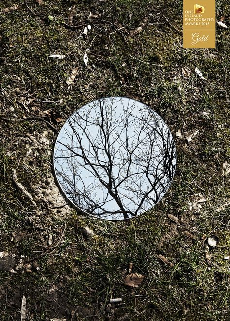 Photographer SEBASTIAN MAGNANI - Reflections - Fine art - Abstract  - GOLD - One Ej yeland Photography Awards 2015 Spherical Mirror, Mirror Photography, Theme Nature, Reflection Photography, Mirror Reflection, Foto Tips, Mirror Photo, Foto Art, Photography Awards