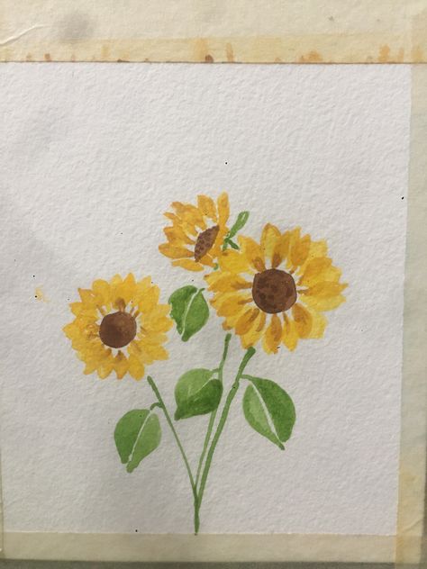 Bright and Cheery Watercolor Sunflowers Water Colour Sunflowers, Sunflowers Painting Easy, Easy Watercolor Sunflower, Sunflower Painting Simple, Watercolor Art Sunflower, Sunflower Easy Painting, Paint Sunflowers Easy, Sunflower Drawing Watercolor, Simple Sunflower Painting