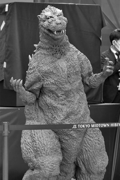 Godzilla Pictures, Showa Godzilla, Godzilla Raids Again, Godzilla Suit, Giant Monster Movies, Godzilla Art, Godzilla Collection, Tokyo Midtown, Monsters Art