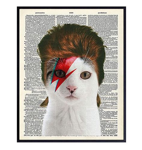 David Bowie Cat, 80s Punk Rock, Bowie Cat, Veterinarian Office, Mandala Wall Stencil, Punk Rock Music, Cat Wall Decor, Unique Wall Art Decor