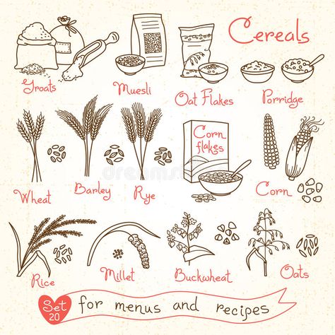 Set drawings of cereals for design menus, recipes and packing. Flakes, groats, p #Sponsored , #sponsored, #ad, #cereals, #Set, #Flakes, #design Milk Dairy, Menu Book, Corn Flakes, Products Design, Dairy Products, Dairy Milk, Diy Creative Crafts, Business Finance, Diy Creative