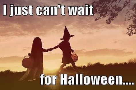 I just can't wait for Halloween quote kids halloween trick or treat halloween quotes Clown Love, Halloween Meme, Pumpkin Photography, Drawing Autumn, Love Night, October Art, 31 October, Spooky Fall, Halloween Photography