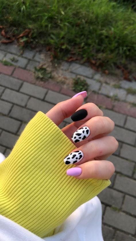 Black Cowgirl Nails, Black Lilac Nails, Black Short Nails Aesthetic, Purple Cow Nails, Black And Lilac Nails, Lilac And Black Nails, Purple Cow Print Nails, Cute Purple Nail Ideas, Spring 2023 Nail Trends