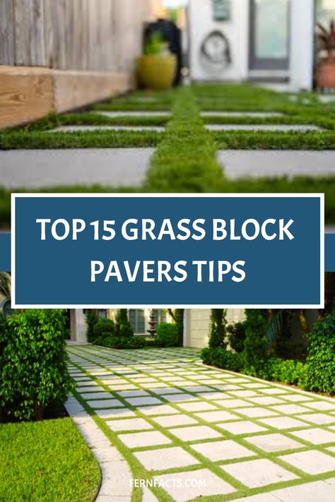 Top 15 tips for using grass block pavers in your garden or driveway. Grass Pavers Backyard, Grass Pavers Driveway, Pavers With Grass In Between, Caring For Ferns, Grass Paving, Grass Block, Grass Driveway, Permeable Driveway, Backyard Diy Ideas