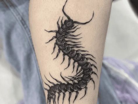 Unleash Your Inner Warrior: 23 Tattoos That Symbolize Strength Centipede Tattoo Around Arm, Centerpede Tattoos, Centepide Tattoo Design, Olive Branch Tattoo Meaning, Centipede Tattoo Design, Dragonfly Tattoo Meaning, Tattoos That Symbolize Strength, Centipede Tattoo, Giraffe Tattoo