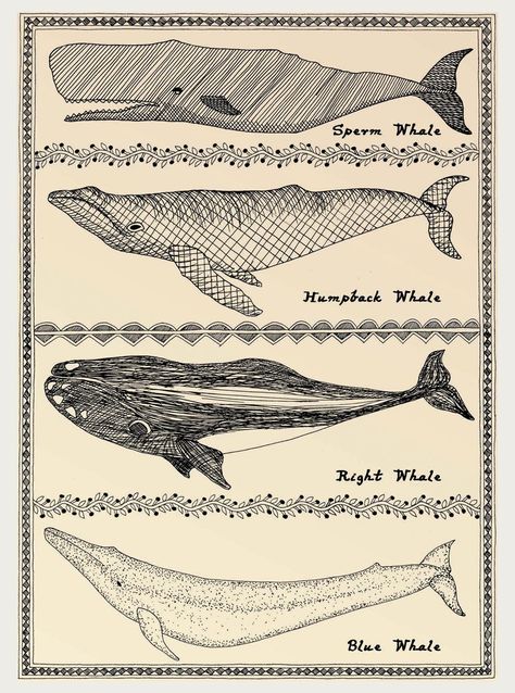 Types Of Whales, Scrimshaw Art, Whale Canvas, Whale Tattoos, Well Groomed Men, Mens Gift Sets, Luxury Gifts, Artist Canvas, Whales