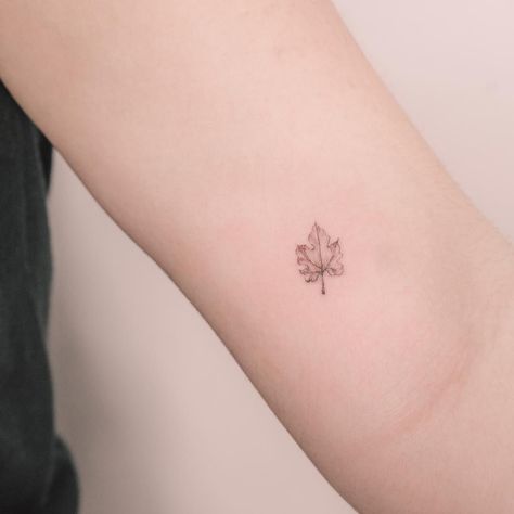 Small First Tattoos, Maple Leaf Drawing, Maple Leaf Tattoos, Small Nature Tattoo, Leaf Tattoo, Henna Inspired Tattoos, Fig Leaf, Leaf Drawing, Fig Leaves