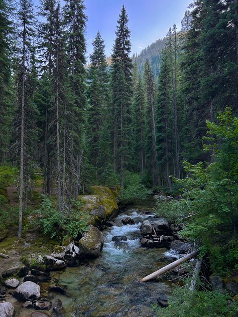 Hiking in oregon, river, waterfall, summer, pnw Camping In Oregon, Oregon Forest Aesthetic, Oregon Travel Aesthetic, Oregon Summer Aesthetic, Pnw Waterfalls, Hiking In Oregon, Pnw Hikes, Pnw Summer, Oregon Aesthetic